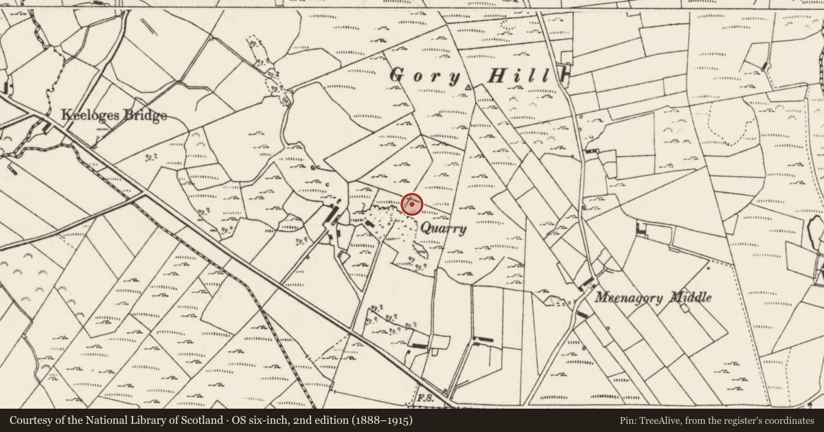 Ordnance Survey six-inch map, 2nd edition (1888–1915) covering the location of Standing stone, Meenagory, County Donegal, with a pin at the register's coordinates