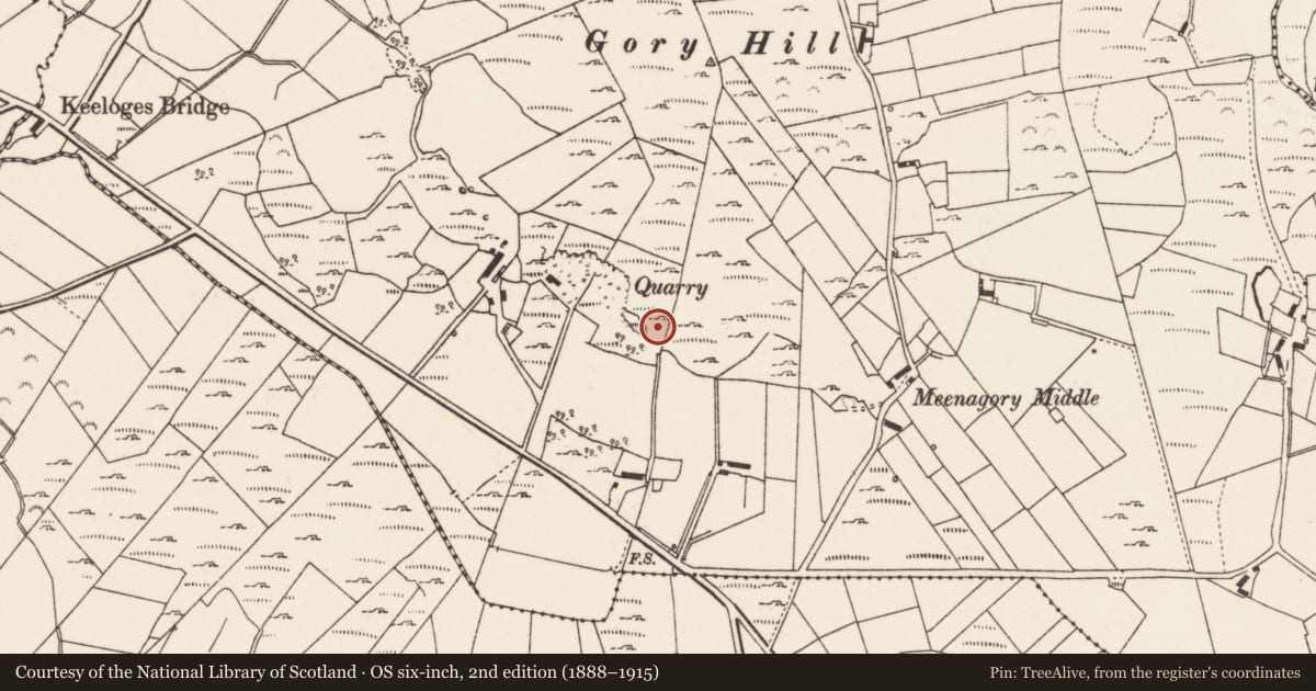 Ordnance Survey six-inch map, 2nd edition (1888–1915) covering the location of Ringfort - unclassified, Meenagory, County Donegal, with a pin at the register's coordinates
