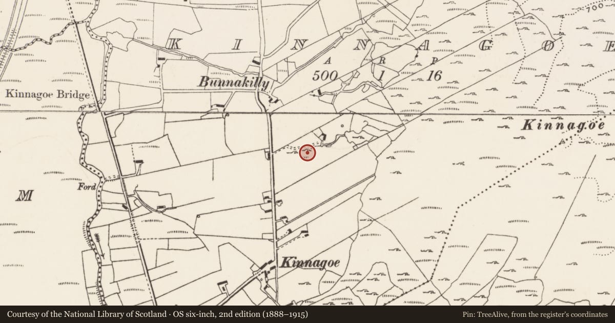 Ordnance Survey six-inch map, 2nd edition (1888–1915) covering the location of Ringfort - cashel, Kinnagoe, County Donegal, with a pin at the register's coordinates