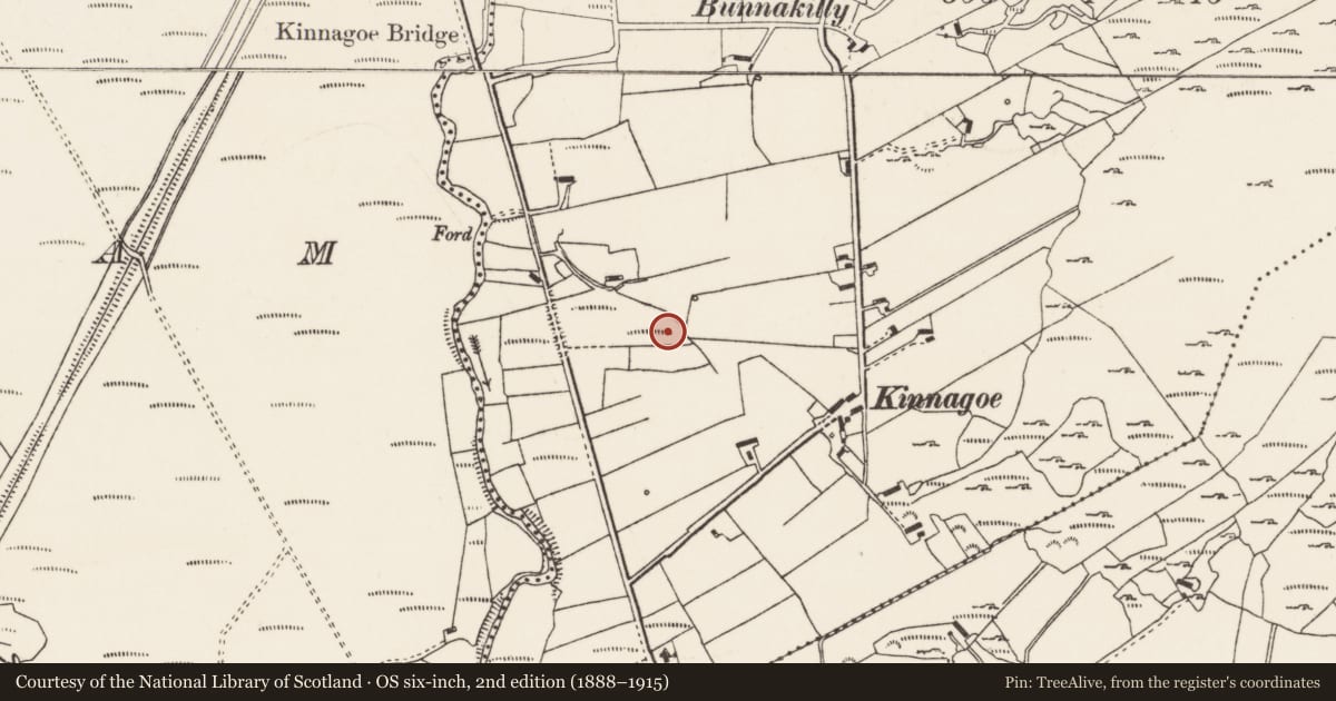 Ordnance Survey six-inch map, 2nd edition (1888–1915) covering the location of Cist, Kinnagoe, County Donegal, with a pin at the register's coordinates