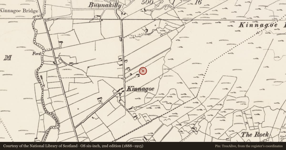 Ordnance Survey six-inch map, 2nd edition (1888–1915) covering the location of Megalithic tomb - unclassified, Kinnagoe, County Donegal, with a pin at the register's coordinates