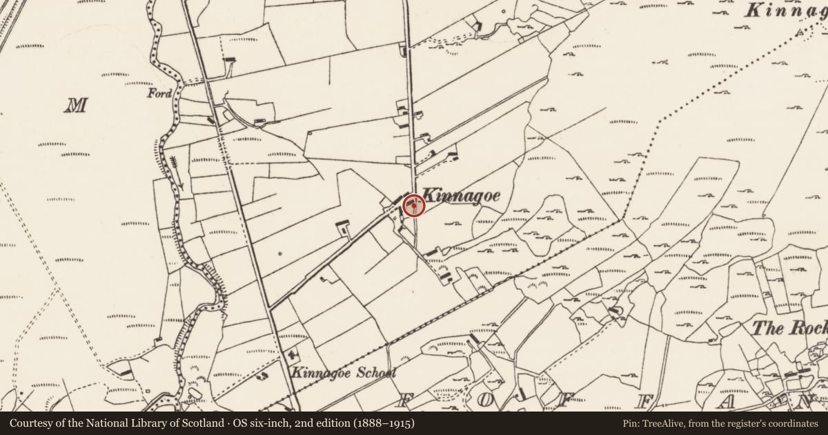 Ordnance Survey six-inch map, 2nd edition (1888–1915) covering the location of Standing stone, Kinnagoe, County Donegal, with a pin at the register's coordinates