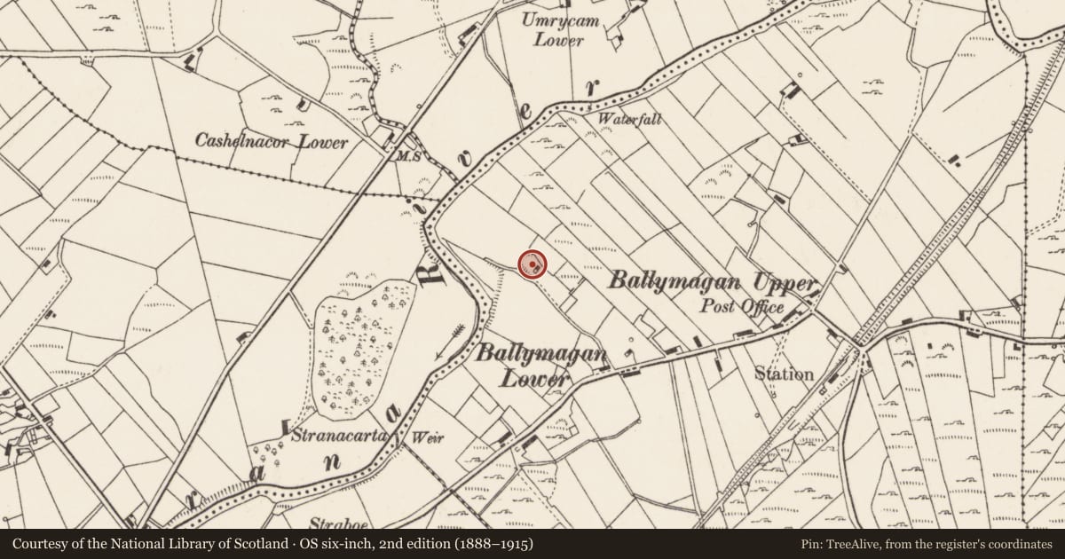 Ordnance Survey six-inch map, 2nd edition (1888–1915) covering the location of Ringfort - rath, Ballymagan Upper And Lower And Clonblosk, County Donegal, with a pin at the register's coordinates