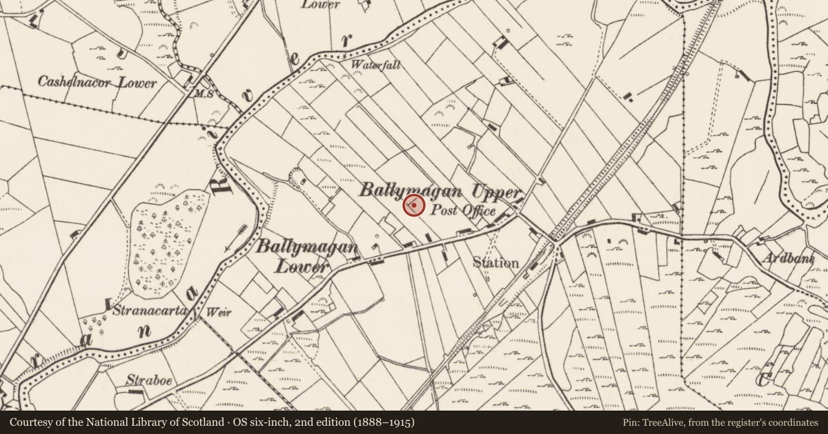Ordnance Survey six-inch map, 2nd edition (1888–1915) covering the location of Souterrain, Ballymagan Upper And Lower And Clonblosk, County Donegal, with a pin at the register's coordinates
