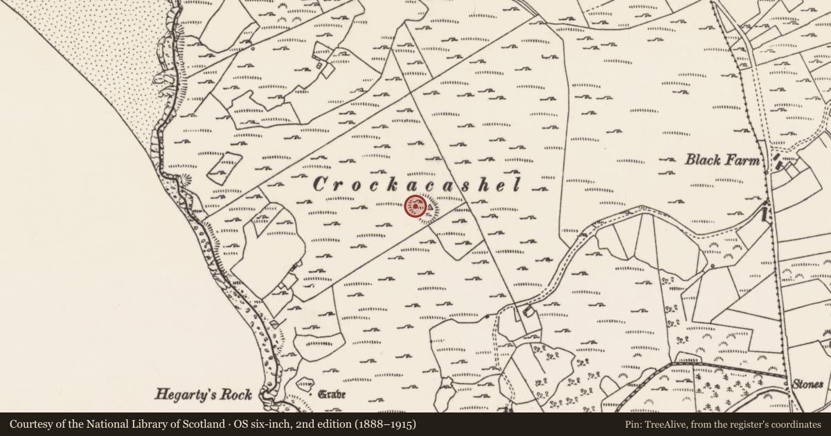 Ordnance Survey six-inch map, 2nd edition (1888–1915) covering the location of Ringfort - cashel, Ballynarry, County Donegal, with a pin at the register's coordinates