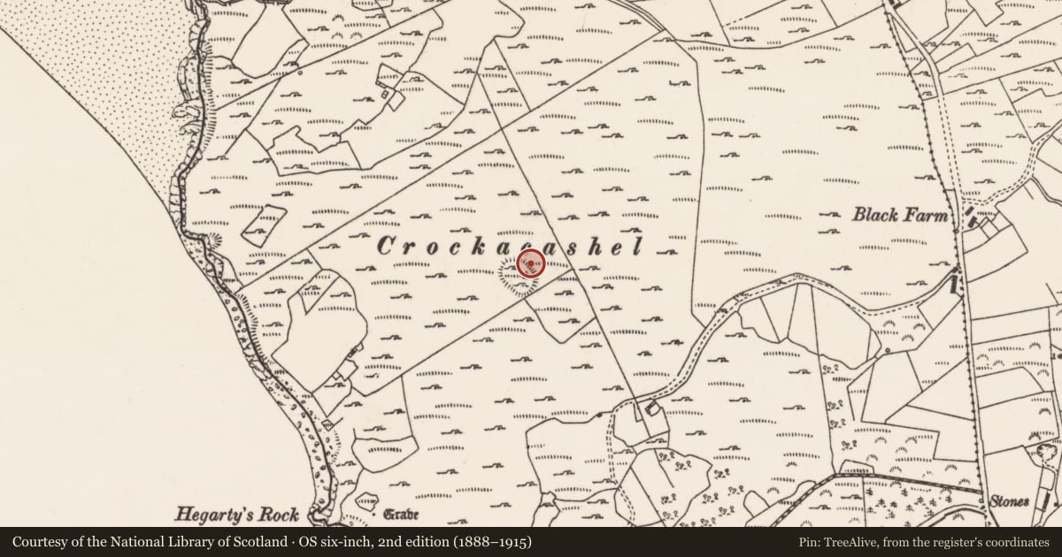 Ordnance Survey six-inch map, 2nd edition (1888–1915) covering the location of Hut site, Ballynarry, County Donegal, with a pin at the register's coordinates