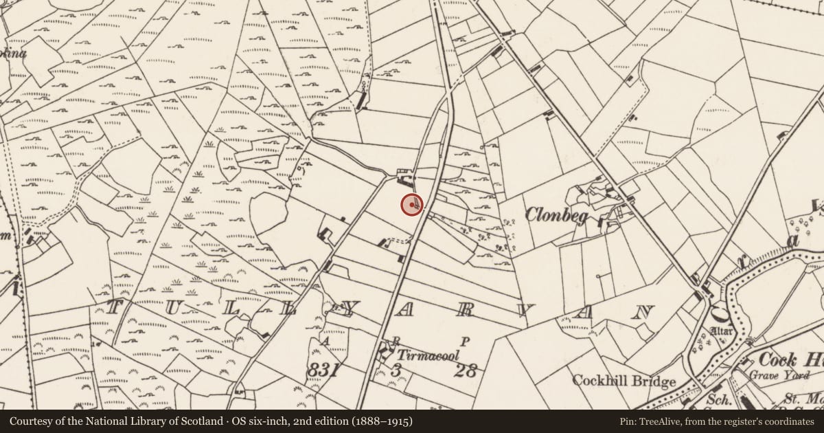 Ordnance Survey six-inch map, 2nd edition (1888–1915) covering the location of Bullaun stone, Tullyarvan, County Donegal, with a pin at the register's coordinates