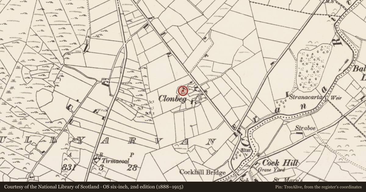 Ordnance Survey six-inch map, 2nd edition (1888–1915) covering the location of Souterrain, Tullyarvan, County Donegal, with a pin at the register's coordinates
