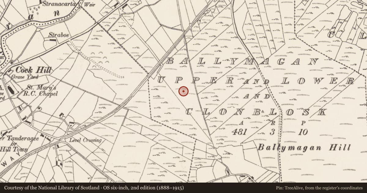 Ordnance Survey six-inch map, 2nd edition (1888–1915) covering the location of Enclosure, Ballymagan Upper And Lower And Clonblosk, County Donegal, with a pin at the register's coordinates