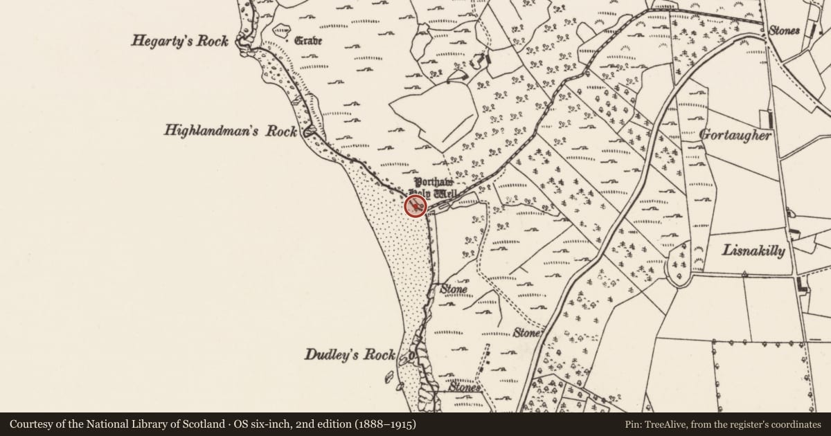 Ordnance Survey six-inch map, 2nd edition (1888–1915) covering the location of Ritual site - holy well, Ballynarry, County Donegal, with a pin at the register's coordinates
