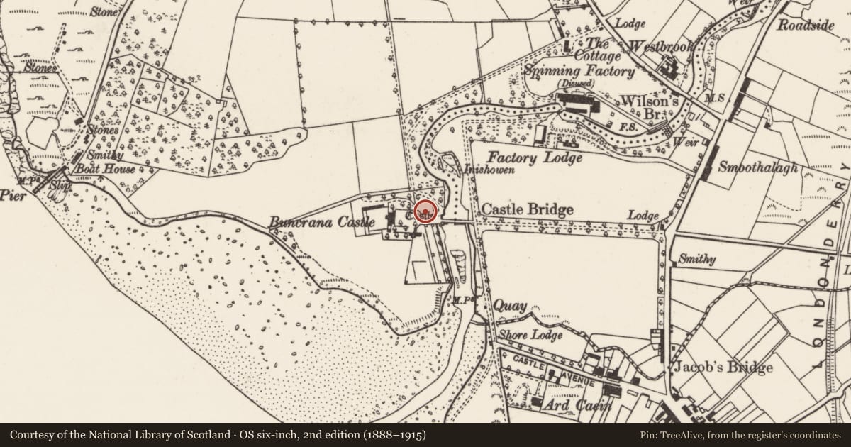Ordnance Survey six-inch map, 2nd edition (1888–1915) covering the location of Castle - tower house, Tullyarvan, County Donegal, with a pin at the register's coordinates