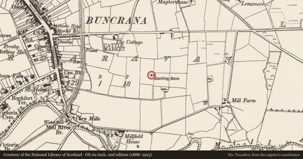 Ordnance Survey six-inch map, 2nd edition (1888–1915) covering the location of Standing stone, Ardaravan, County Donegal, with a pin at the register's coordinates
