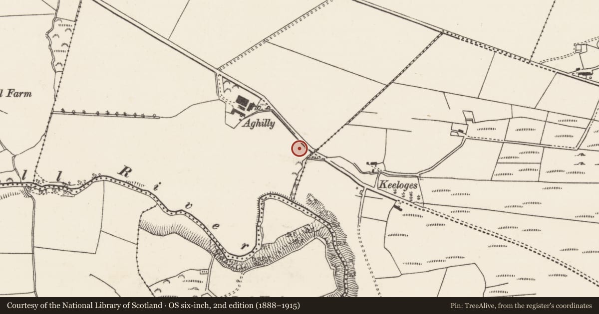Ordnance Survey six-inch map, 2nd edition (1888–1915) covering the location of Ringfort - unclassified, Aghilly And Lenynarnan, County Donegal, with a pin at the register's coordinates