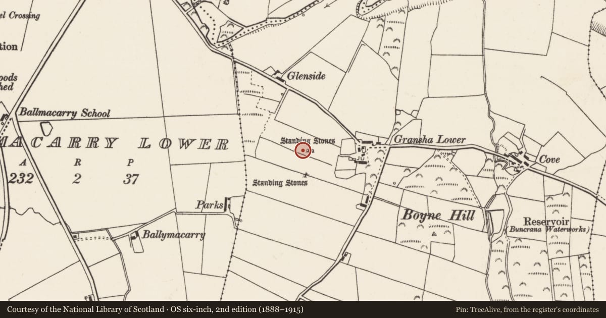 Ordnance Survey six-inch map, 2nd edition (1888–1915) covering the location of Standing stone, Gransha, County Donegal, with a pin at the register's coordinates