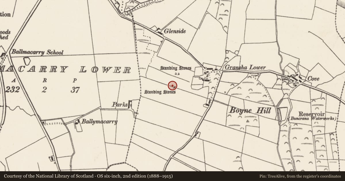 Ordnance Survey six-inch map, 2nd edition (1888–1915) covering the location of Standing stone, Gransha, County Donegal, with a pin at the register's coordinates
