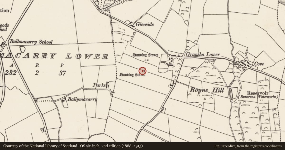 Ordnance Survey six-inch map, 2nd edition (1888–1915) covering the location of Standing stone, Gransha, County Donegal, with a pin at the register's coordinates