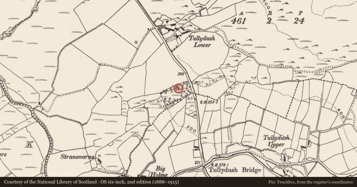 Ordnance Survey six-inch map, 2nd edition (1888–1915) covering the location of Enclosure, Tullydush Lower, County Donegal, with a pin at the register's coordinates