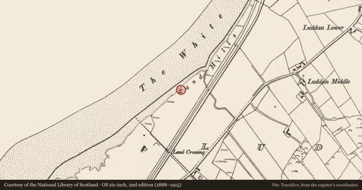 Ordnance Survey six-inch map, 2nd edition (1888–1915) covering the location of Midden, Luddan, County Donegal, with a pin at the register's coordinates