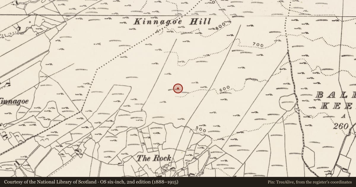 Ordnance Survey six-inch map, 2nd edition (1888–1915) covering the location of Hut site, Foffanagh, County Donegal, with a pin at the register's coordinates