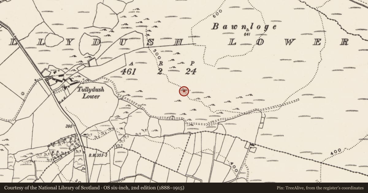 Ordnance Survey six-inch map, 2nd edition (1888–1915) covering the location of Rock art, Tullydush Lower, County Donegal, with a pin at the register's coordinates