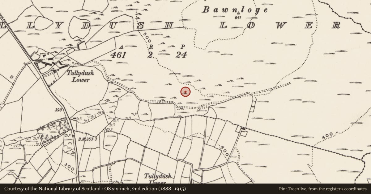 Ordnance Survey six-inch map, 2nd edition (1888–1915) covering the location of Field system, Tullydush Lower, County Donegal, with a pin at the register's coordinates
