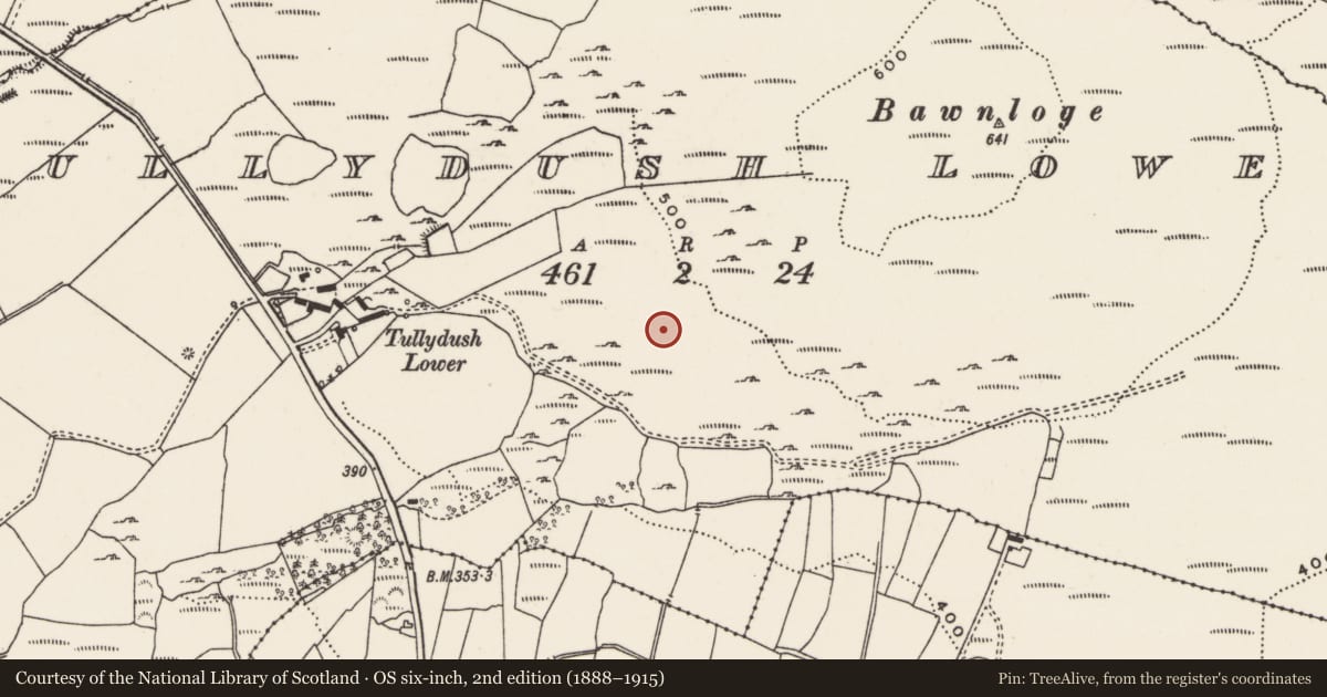 Ordnance Survey six-inch map, 2nd edition (1888–1915) covering the location of Hut site, Tullydush Lower, County Donegal, with a pin at the register's coordinates