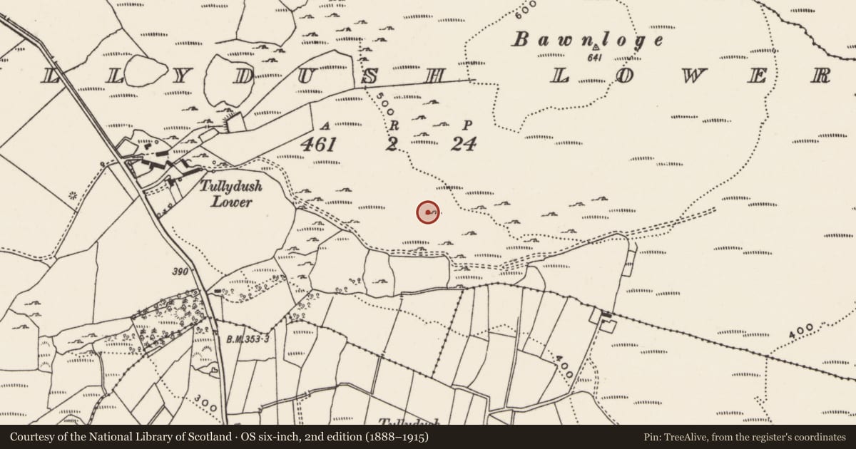 Ordnance Survey six-inch map, 2nd edition (1888–1915) covering the location of Hut site, Tullydush Lower, County Donegal, with a pin at the register's coordinates