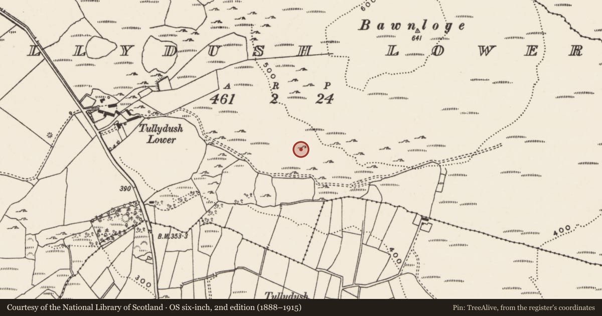 Ordnance Survey six-inch map, 2nd edition (1888–1915) covering the location of Hut site, Tullydush Lower, County Donegal, with a pin at the register's coordinates