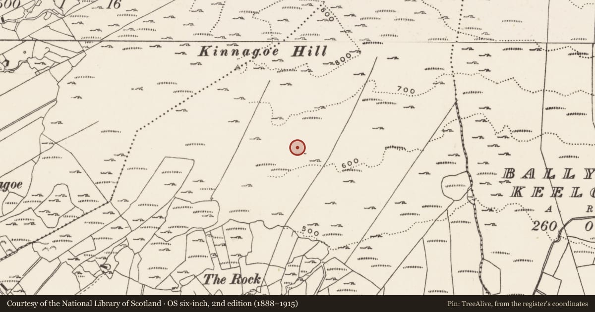 Ordnance Survey six-inch map, 2nd edition (1888–1915) covering the location of Cairn - clearance cairn, Foffanagh, County Donegal, with a pin at the register's coordinates