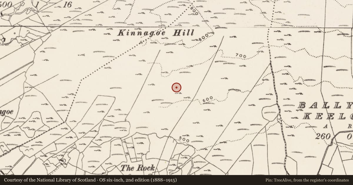 Ordnance Survey six-inch map, 2nd edition (1888–1915) covering the location of Cairn - clearance cairn, Foffanagh, County Donegal, with a pin at the register's coordinates