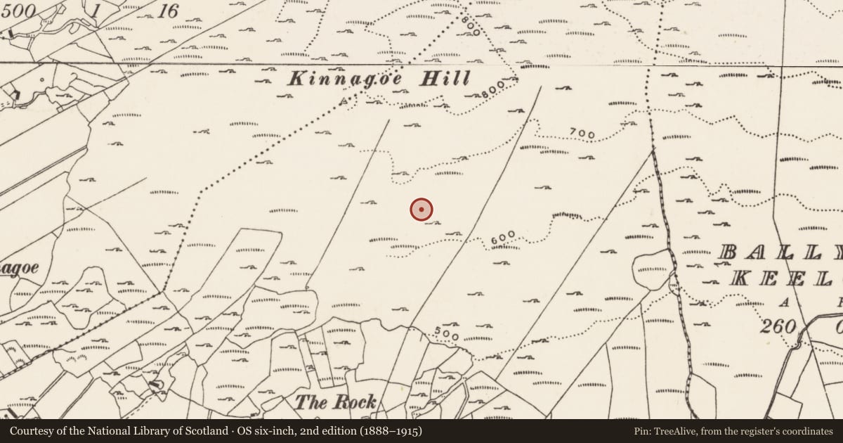 Ordnance Survey six-inch map, 2nd edition (1888–1915) covering the location of Cairn - clearance cairn, Foffanagh, County Donegal, with a pin at the register's coordinates