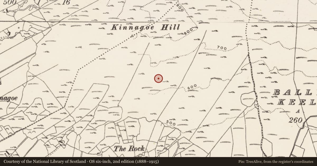 Ordnance Survey six-inch map, 2nd edition (1888–1915) covering the location of Hut site, Foffanagh, County Donegal, with a pin at the register's coordinates