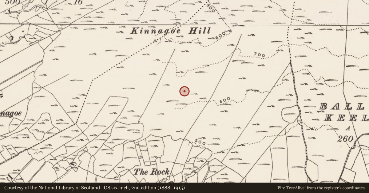 Ordnance Survey six-inch map, 2nd edition (1888–1915) covering the location of Field system, Foffanagh, County Donegal, with a pin at the register's coordinates