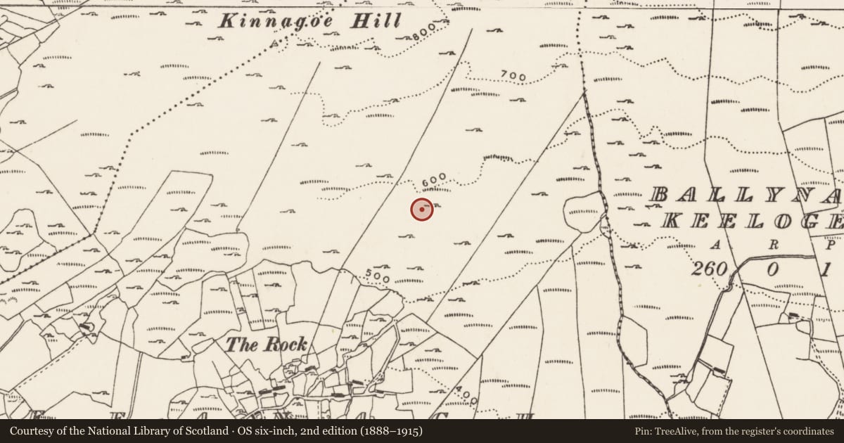 Ordnance Survey six-inch map, 2nd edition (1888–1915) covering the location of Enclosure, Foffanagh, County Donegal, with a pin at the register's coordinates