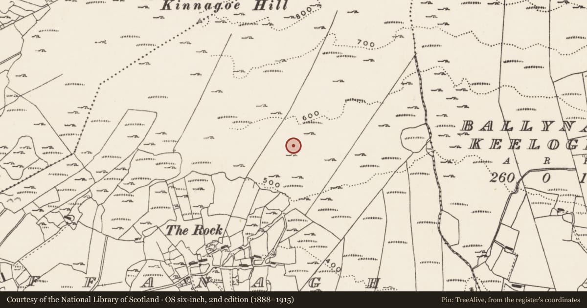 Ordnance Survey six-inch map, 2nd edition (1888–1915) covering the location of Enclosure, Foffanagh, County Donegal, with a pin at the register's coordinates
