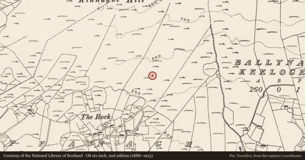Ordnance Survey six-inch map, 2nd edition (1888–1915) covering the location of Hut site, Foffanagh, County Donegal, with a pin at the register's coordinates