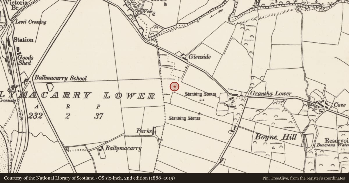 Ordnance Survey six-inch map, 2nd edition (1888–1915) covering the location of Cremated remains, Gransha, County Donegal, with a pin at the register's coordinates