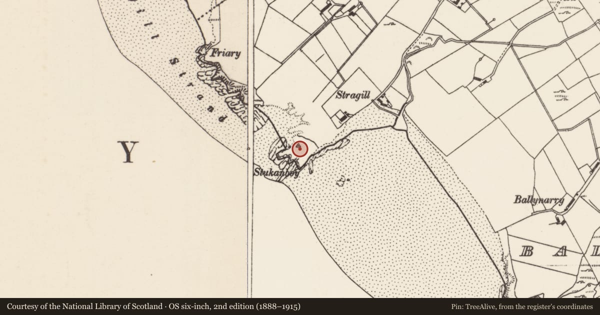 Ordnance Survey six-inch map, 2nd edition (1888–1915) covering the location of Promontory fort - coastal, Ballynarry, County Donegal, with a pin at the register's coordinates