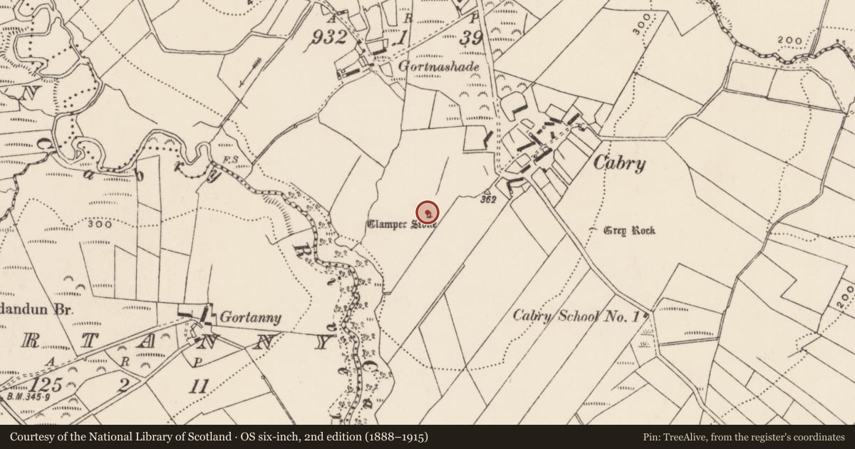 Ordnance Survey six-inch map, 2nd edition (1888–1915) covering the location of Standing stone, Cabry, County Donegal, with a pin at the register's coordinates