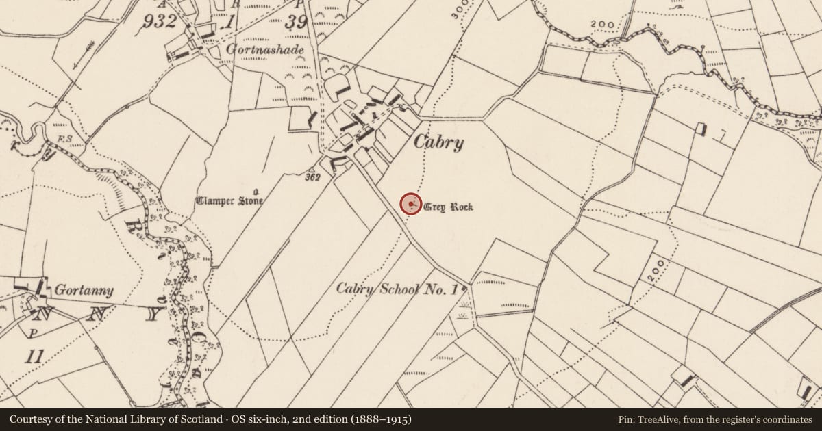 Ordnance Survey six-inch map, 2nd edition (1888–1915) covering the location of Standing stone, Cabry, County Donegal, with a pin at the register's coordinates