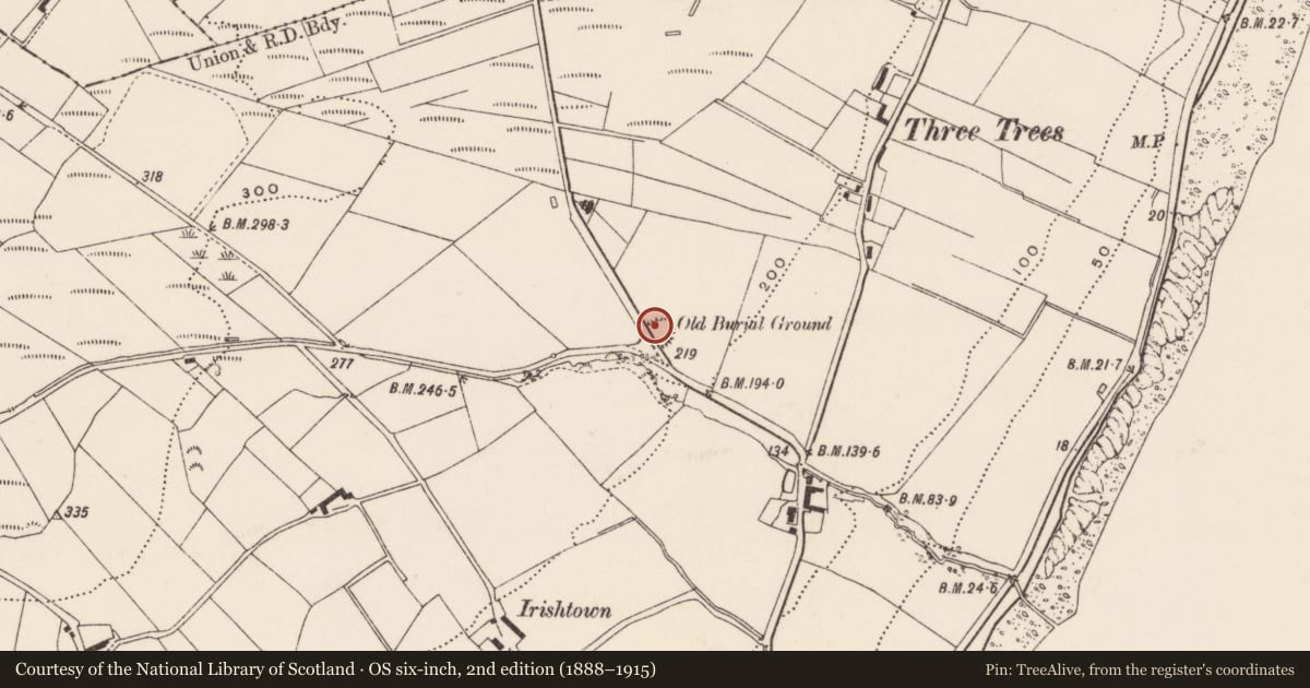 Ordnance Survey six-inch map, 2nd edition (1888–1915) covering the location of Ecclesiastical enclosure, Three Trees, County Donegal, with a pin at the register's coordinates
