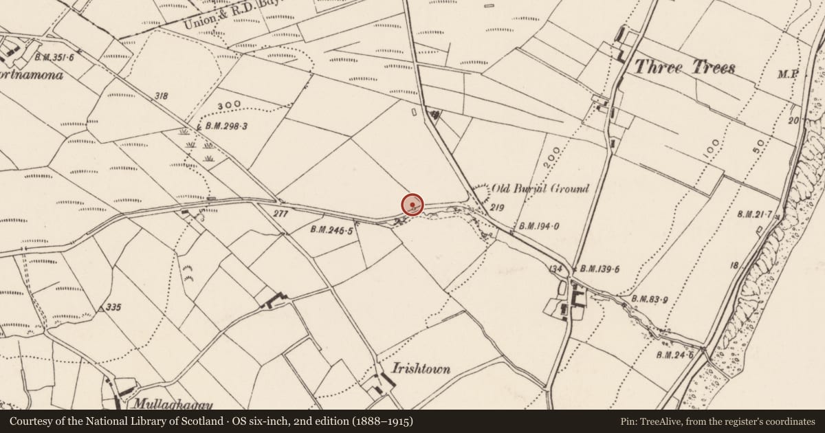 Ordnance Survey six-inch map, 2nd edition (1888–1915) covering the location of Ritual site - holy well, Three Trees, County Donegal, with a pin at the register's coordinates