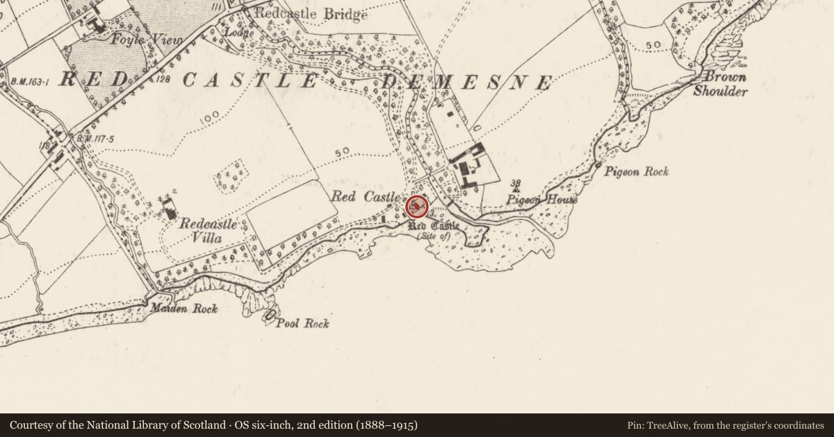 Ordnance Survey six-inch map, 2nd edition (1888–1915) covering the location of Castle - unclassified, Carrickmaquigley, County Donegal, with a pin at the register's coordinates