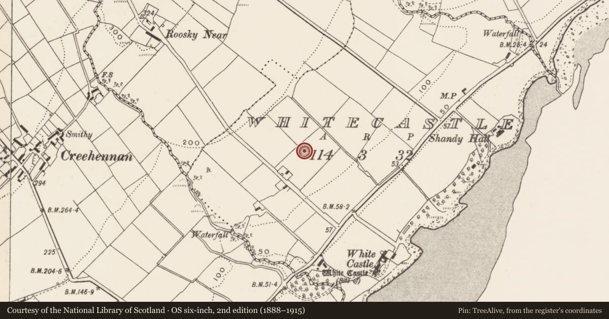 Ordnance Survey six-inch map, 2nd edition (1888–1915) covering the location of Ringfort - rath, Whitecastle, County Donegal, with a pin at the register's coordinates
