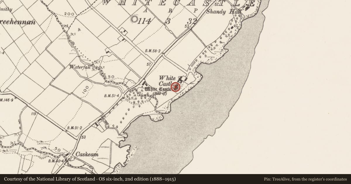 Ordnance Survey six-inch map, 2nd edition (1888–1915) covering the location of Castle - unclassified, Whitecastle, County Donegal, with a pin at the register's coordinates