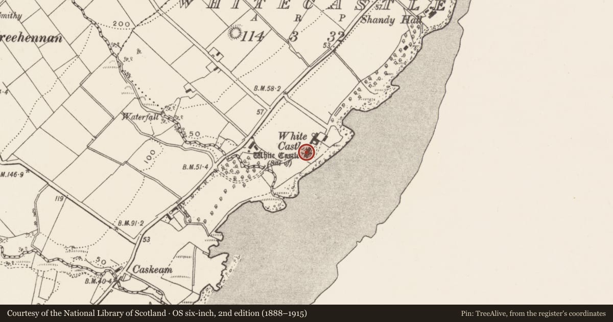 Ordnance Survey six-inch map, 2nd edition (1888–1915) covering the location of House - 18th/19th century, Whitecastle, County Donegal, with a pin at the register's coordinates