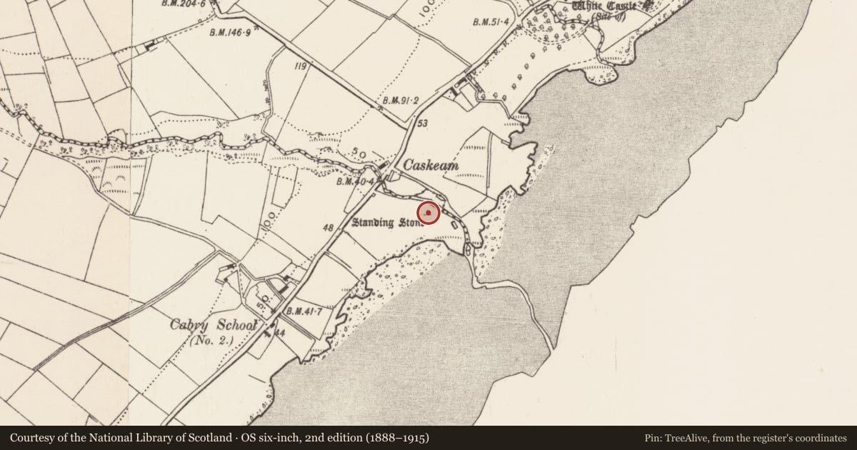 Ordnance Survey six-inch map, 2nd edition (1888–1915) covering the location of Standing stone, Cabry, County Donegal, with a pin at the register's coordinates