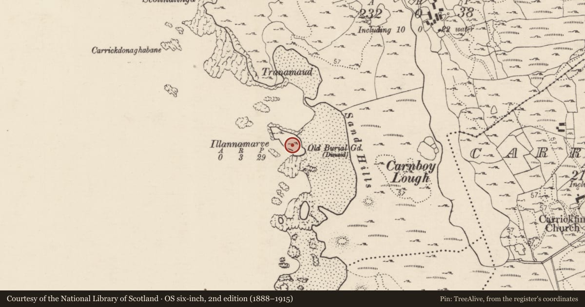 Ordnance Survey six-inch map, 2nd edition (1888–1915) covering the location of Children's burial ground, An Carn Buí, County Donegal, with a pin at the register's coordinates