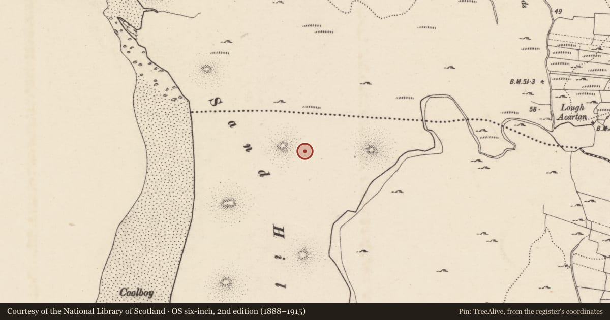 Ordnance Survey six-inch map, 2nd edition (1888–1915) covering the location of Burial ground, An Luinnigh, County Donegal, with a pin at the register's coordinates