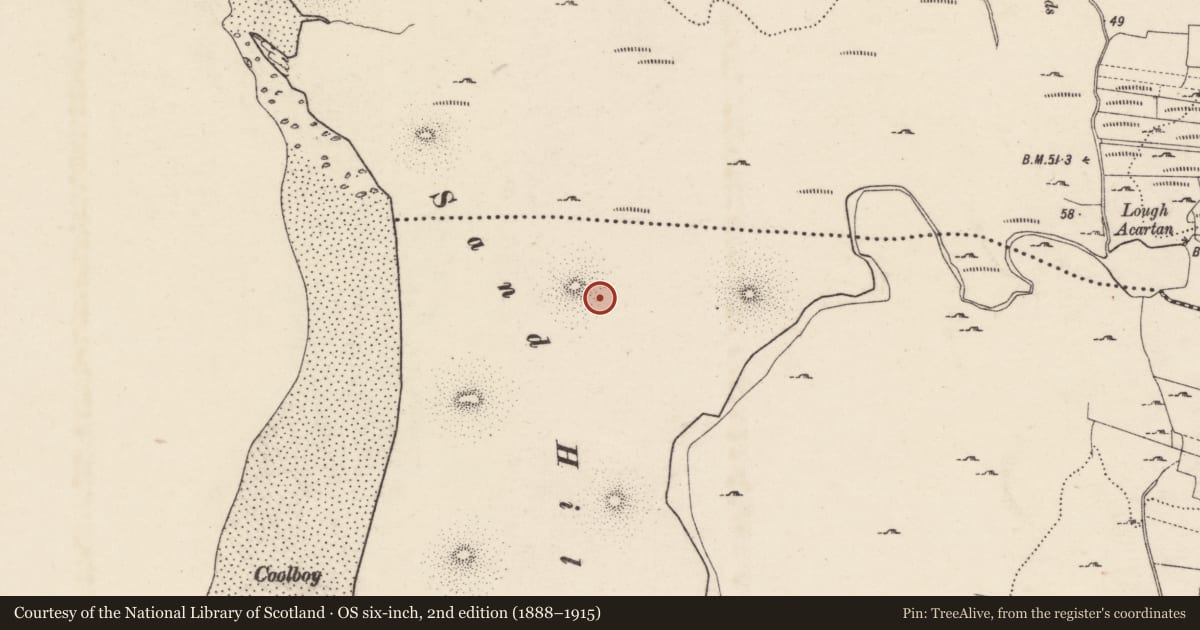 Ordnance Survey six-inch map, 2nd edition (1888–1915) covering the location of Cist, An Luinnigh, County Donegal, with a pin at the register's coordinates